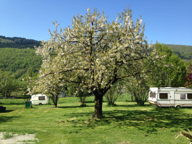 Camping Le Meyrieux