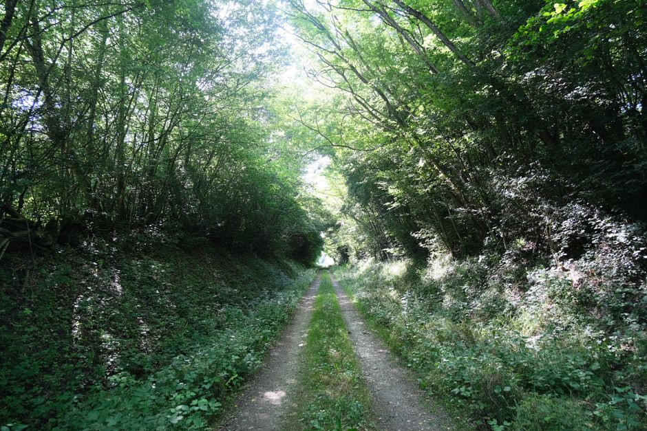 Sentiers et forêts de Normandie