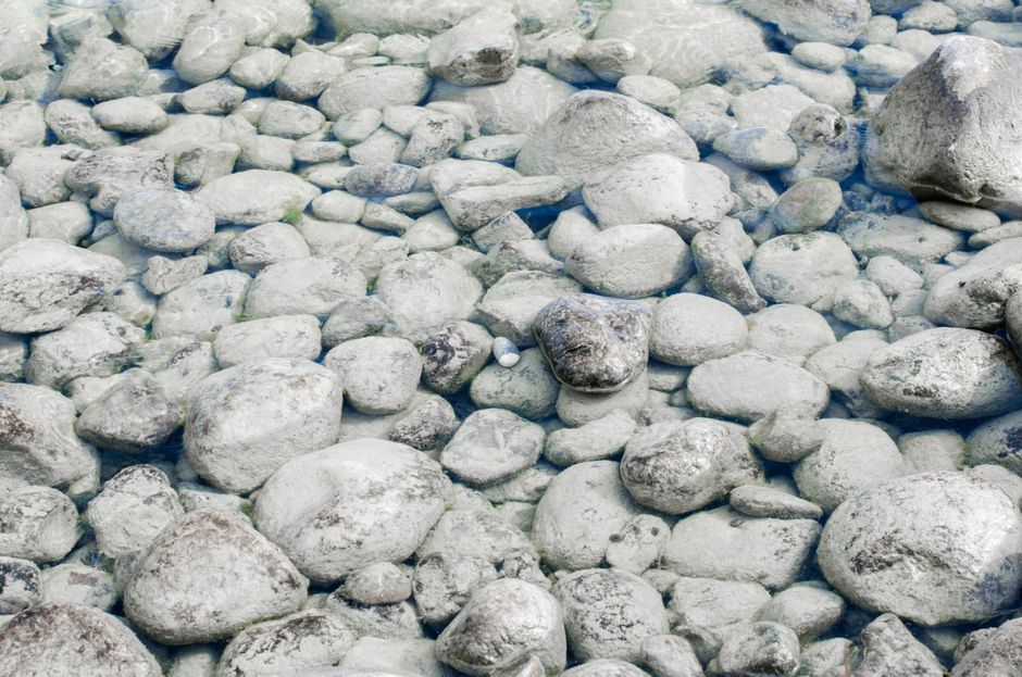 Baignade en rivière dans la Drôme
