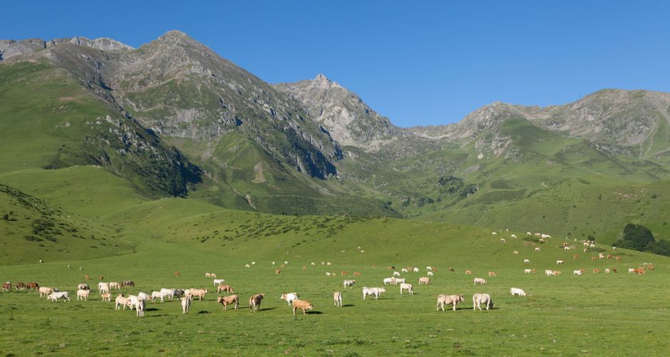 Les Pyrénées en Occitanie